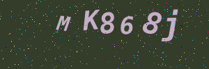 Validation image